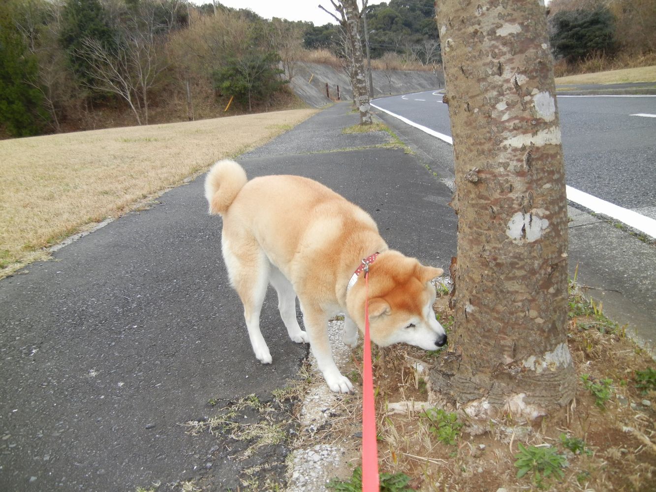 ’14,3,25(火)楽しかった水彩画教室!_f0060461_14422413.jpg
