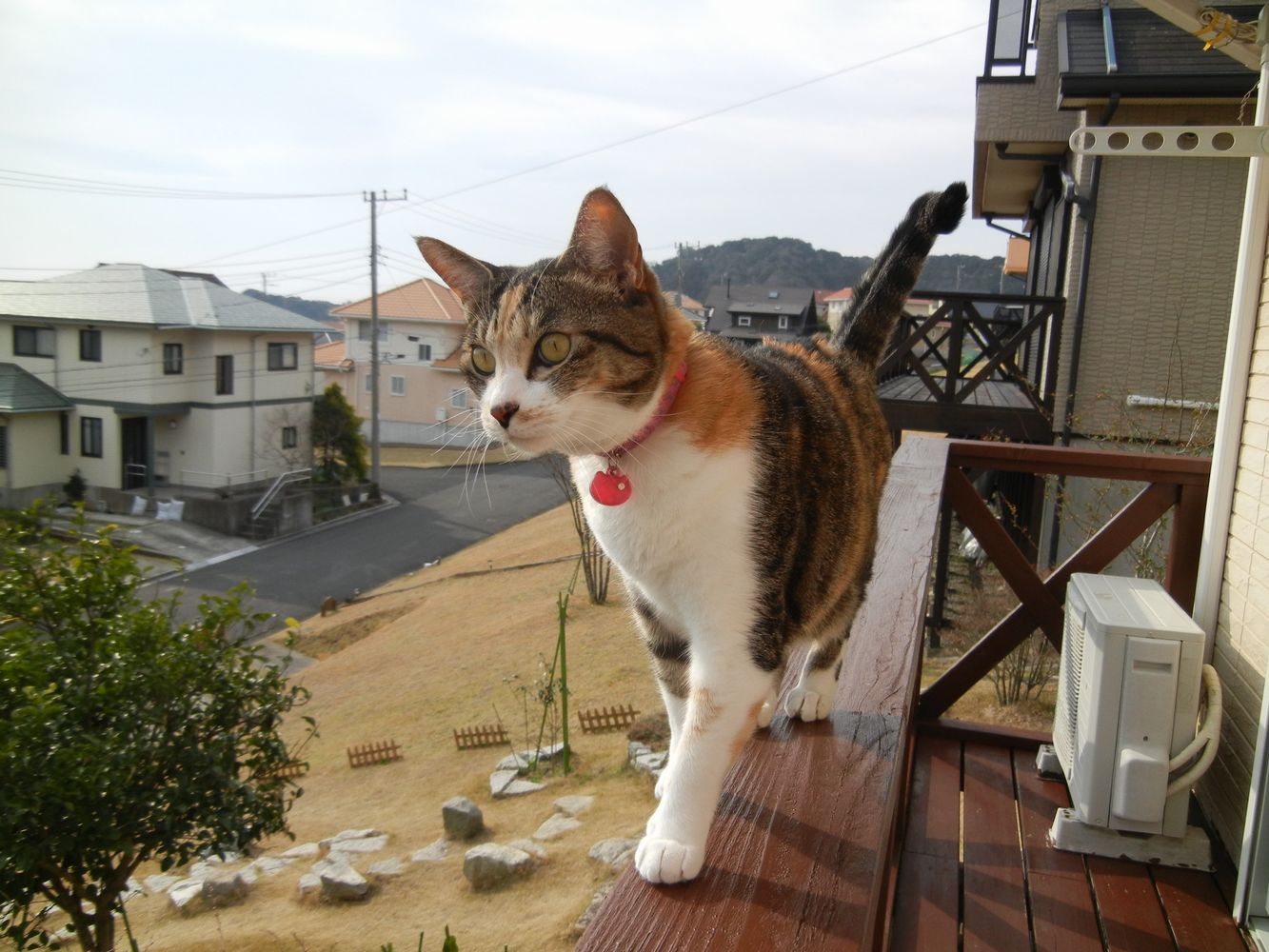 ’14,3,25(火)楽しかった水彩画教室!_f0060461_1450869.jpg