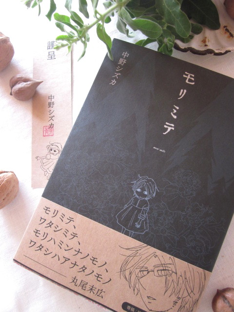 帯文、寄稿のおしごとふたつ、ご案内です。_b0218369_11222814.jpg