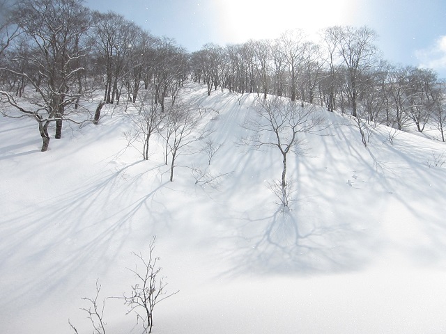 f0202271_1833.jpg