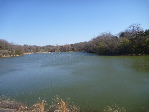 e0161972_845380.jpg