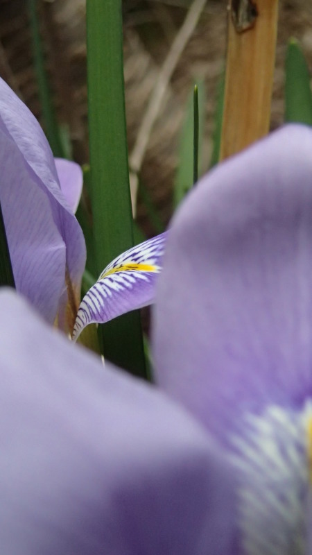 e0024081_16400998.jpg