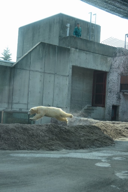 ２０１４年３月　ほぼ毎月とくしま動物園　その４_a0052986_23141394.jpg