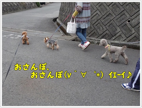 同じ材料で、鳥天とチキン南蛮_b0175688_2235630.jpg