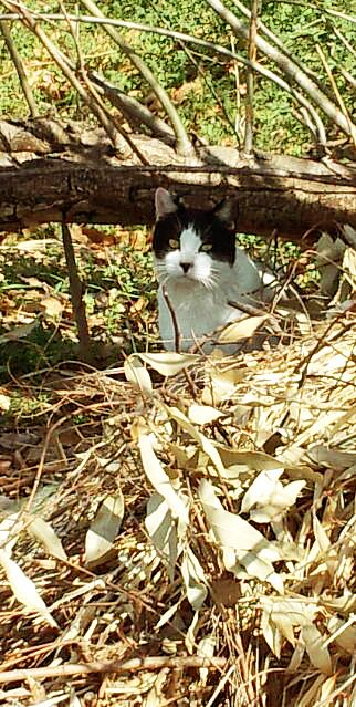 春。。。。_b0210688_1145532.jpg