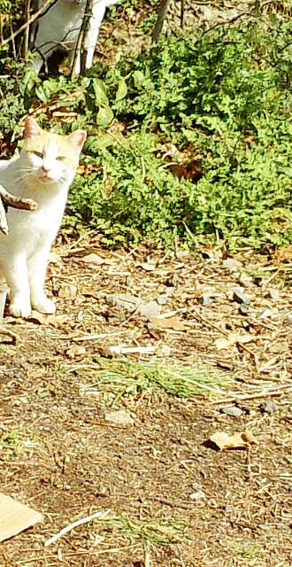 春。。。。_b0210688_11461566.jpg