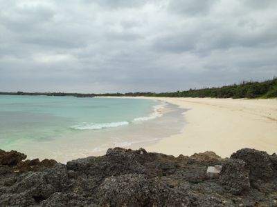 a0309389_20595145.jpg