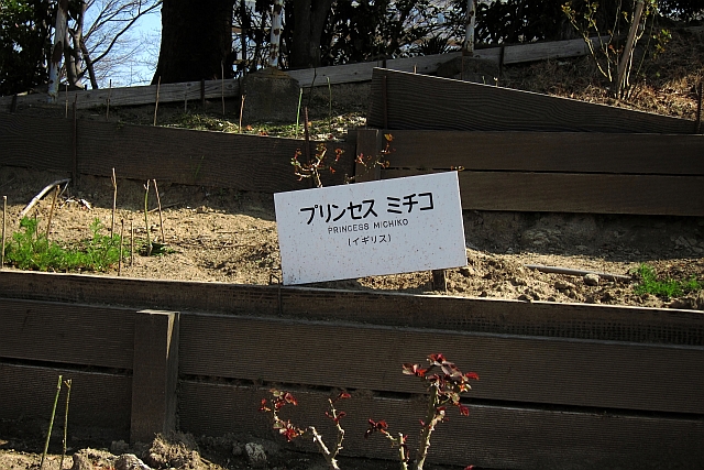d0288789_19522836.jpg