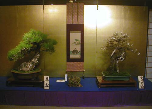 ●『大阪天満宮 盆梅と名宝展』その2_d0053294_23463221.jpg