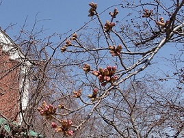 b0134195_1713145.jpg