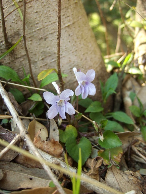 c0115596_20542955.jpg