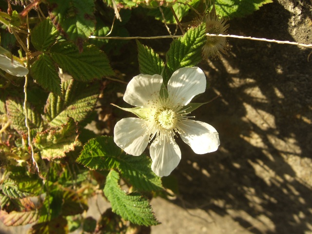 c0115596_20544268.jpg