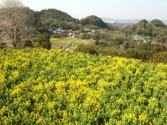 c0115596_20551074.jpg