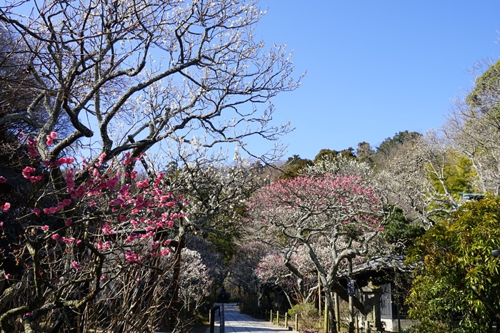 b0145398_1526327.jpg