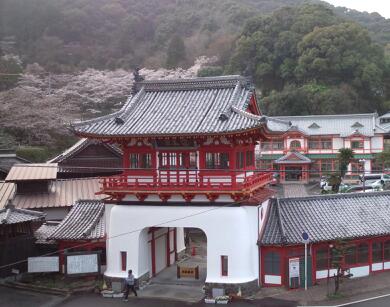春の桜山と楼門_f0040201_22482435.jpg