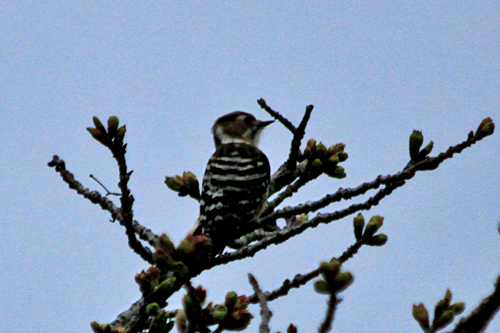 b0014607_13272981.jpg