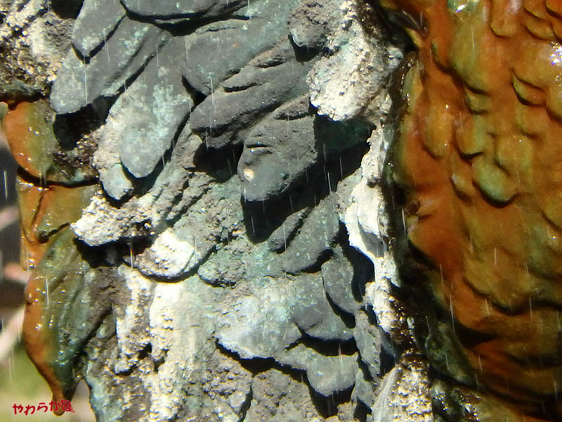 b0134907_9251896.jpg