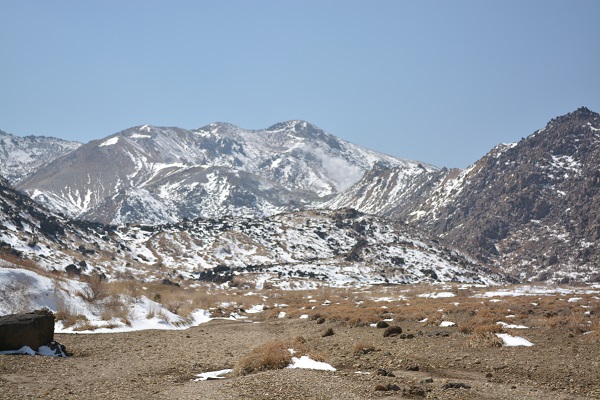 b0277008_8313045.jpg