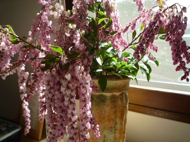 b0259210_15422273.jpg