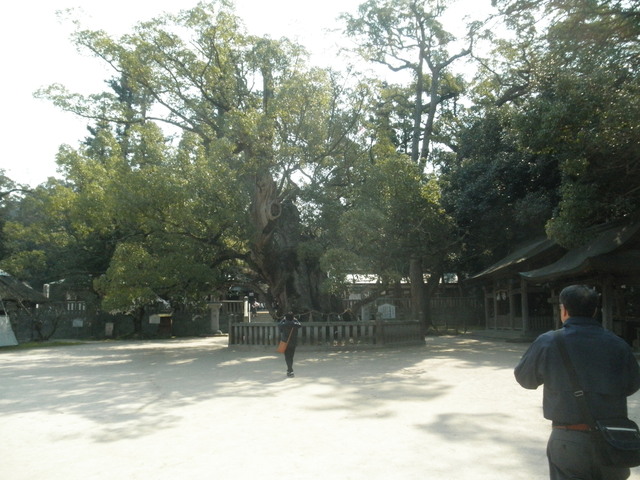 a0189513_10241957.jpg