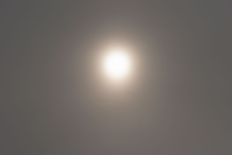 a0278914_1329437.jpg
