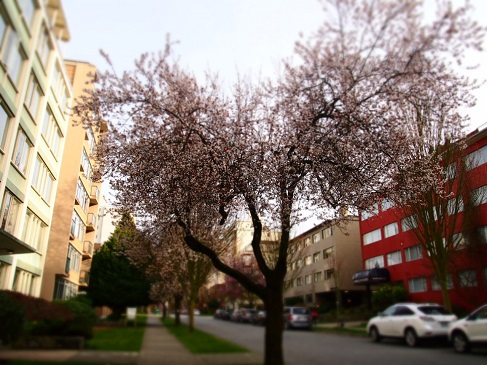 f0111926_02022574.jpg