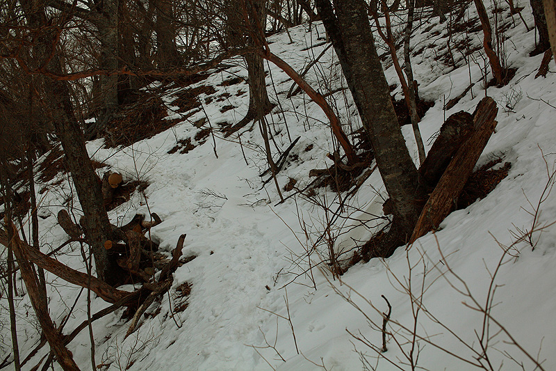 c0313231_19212445.jpg
