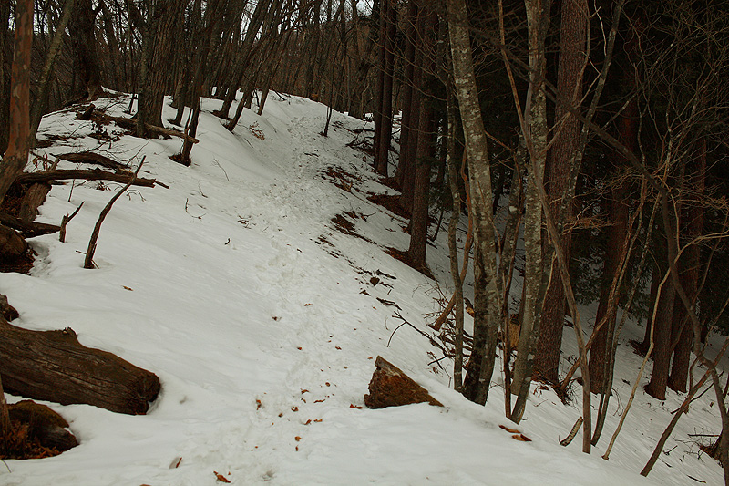 c0313231_1922029.jpg