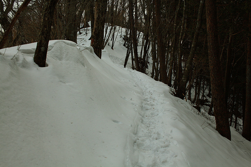 c0313231_19231146.jpg