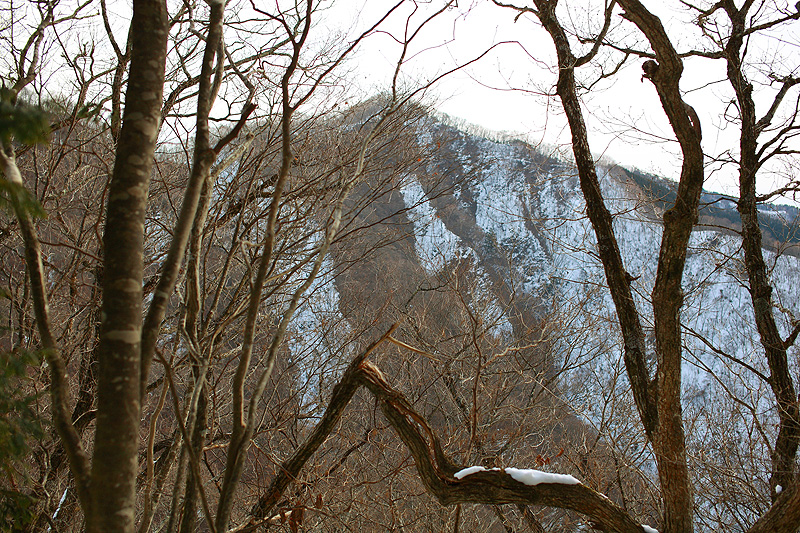 c0313231_19245589.jpg
