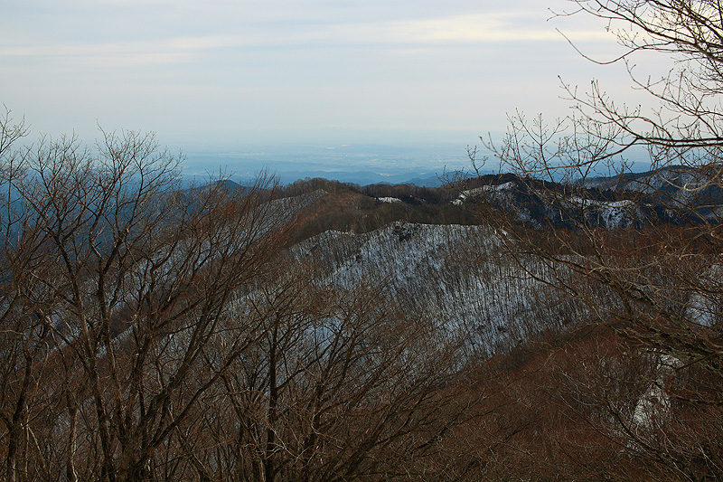 c0313231_19264558.jpg