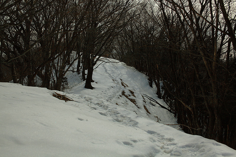 c0313231_192844.jpg