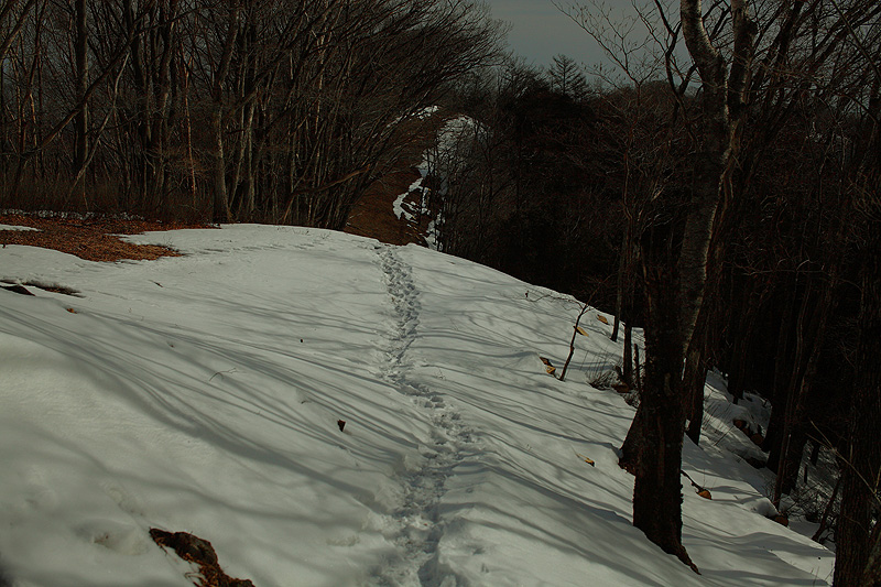 c0313231_19294087.jpg