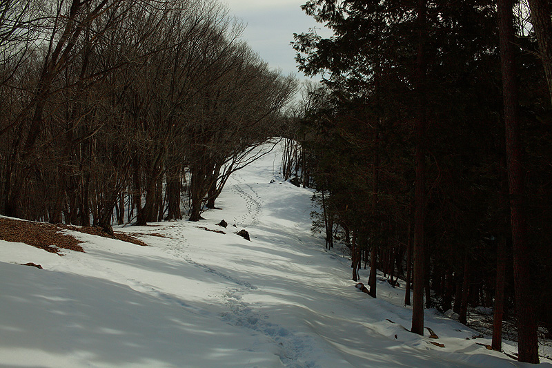 c0313231_19304320.jpg