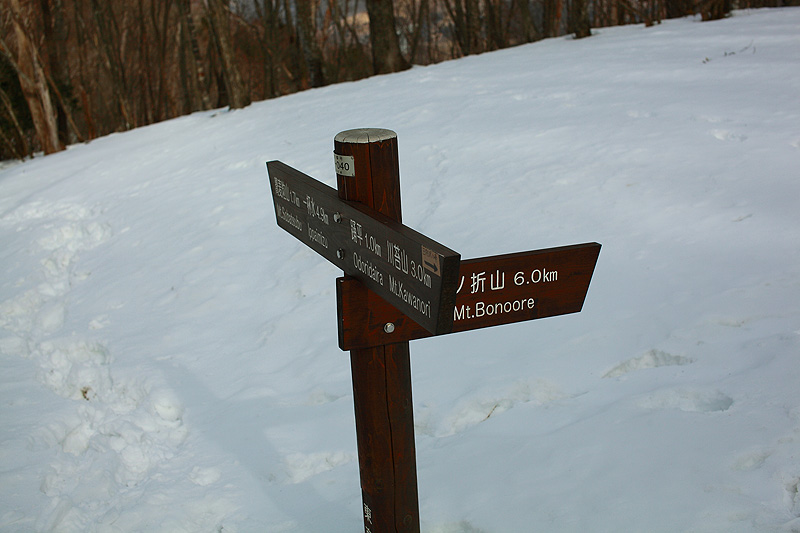 c0313231_19312722.jpg