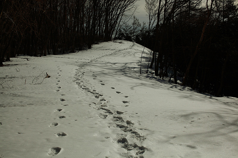 c0313231_1931710.jpg