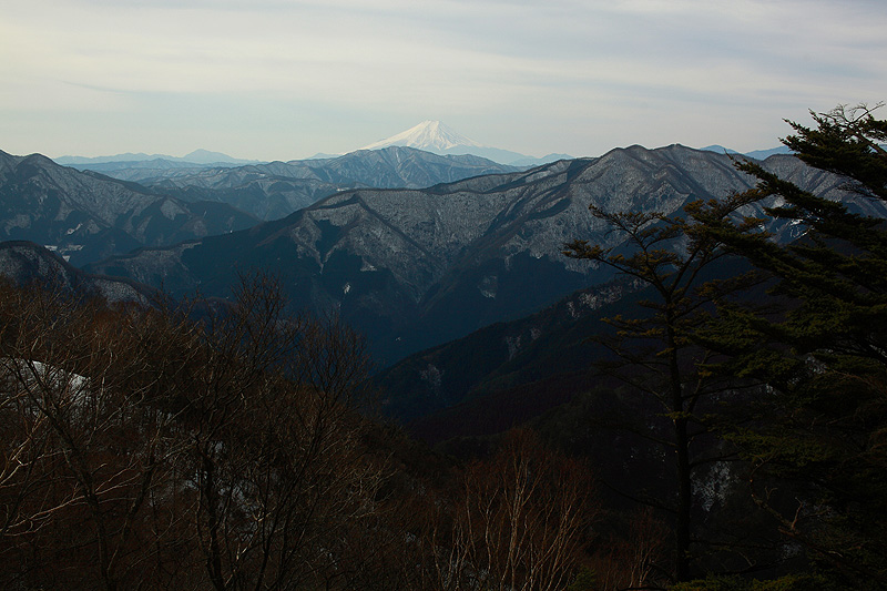 c0313231_19322537.jpg