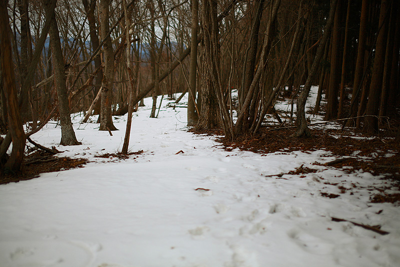 c0313231_1934502.jpg
