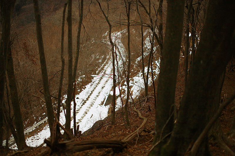 c0313231_19351443.jpg