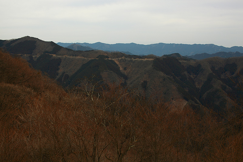 c0313231_19354262.jpg