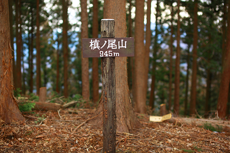 c0313231_193666.jpg