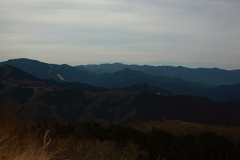 c0313231_19372539.jpg