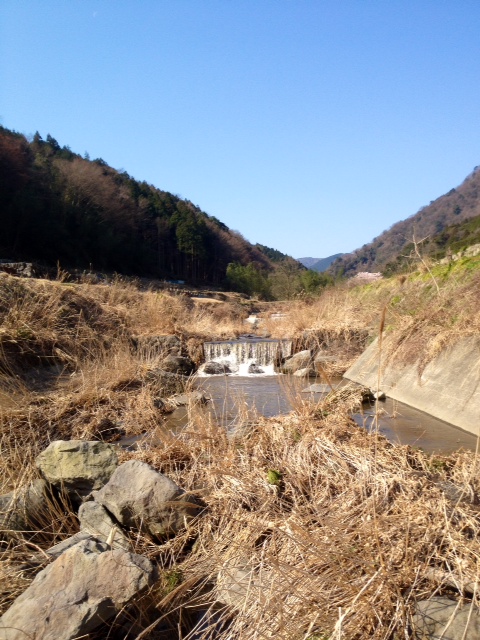 酒匂川水系 U川K川釣行 その1_c0149633_17493699.jpg