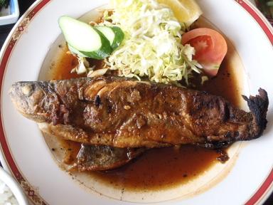 箱根で美味三昧 芦ノ湖名物のランチ 旅 日々エピソード