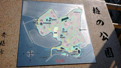 b0019140_10363721.jpg