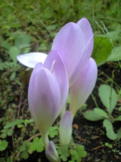 b0330040_23534578.jpg