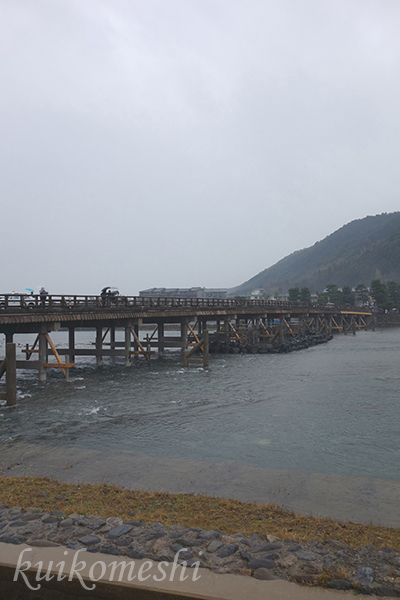 京都旅行02-野宮神社～渡月橋_a0135743_9223489.jpg