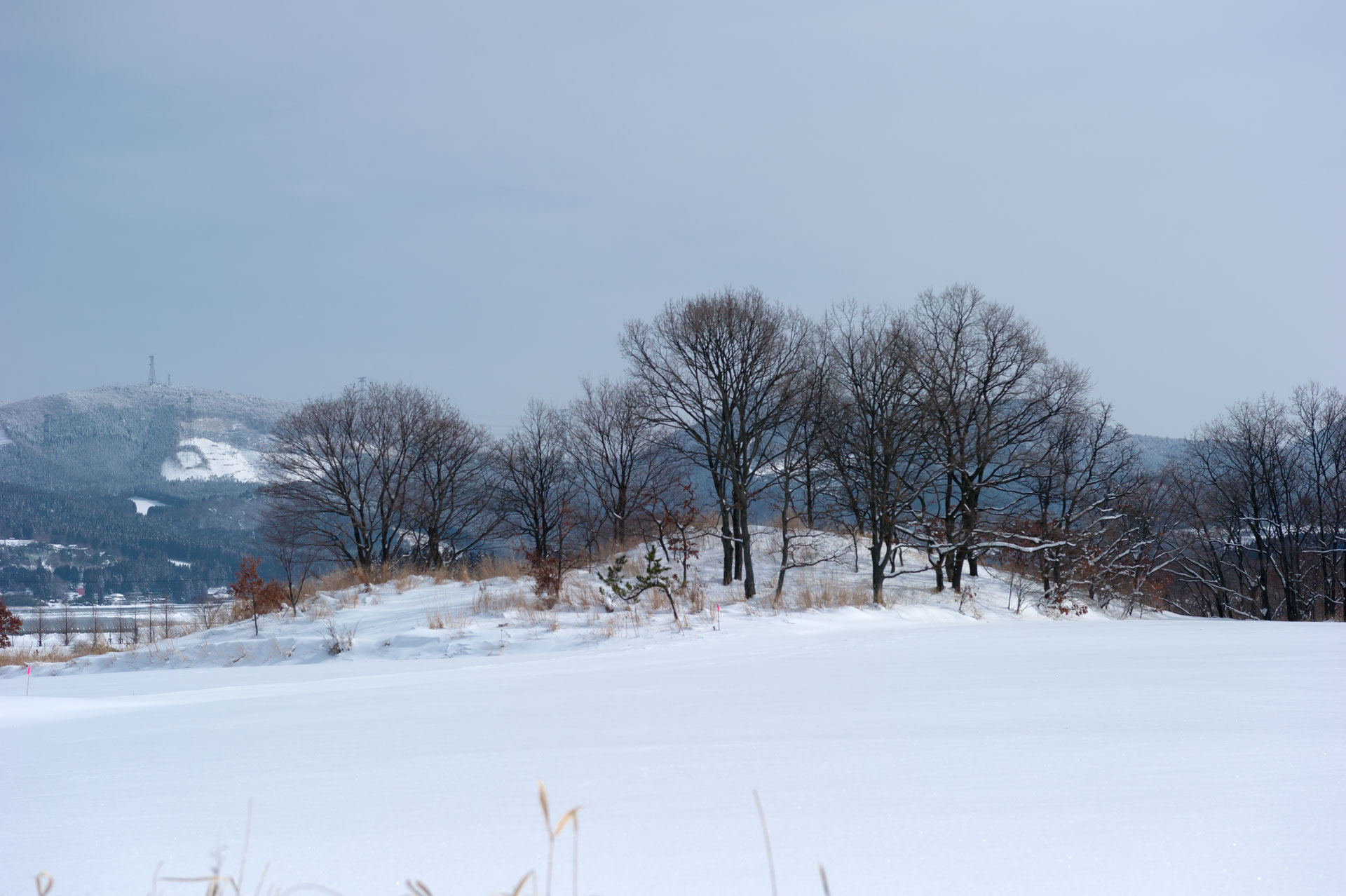 ◆雪野原　大分県玖珠郡九重町_b0023047_04491675.jpg