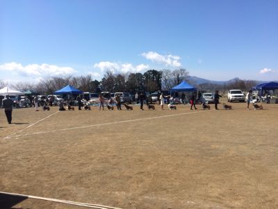 コリークラブ神奈川支部展 会場変更について_f0126965_4171257.jpg