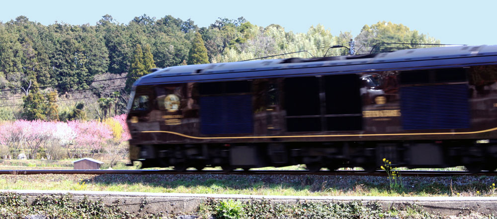 d0126573_23542377.jpg